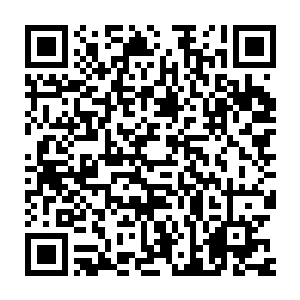 可惜的是再好的机缘如果拥有它的人是个傻x那都难免会乐极生悲二维码生成