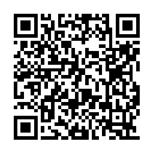 可惜这个戴着假面的高手根本没有给她任何机会二维码生成