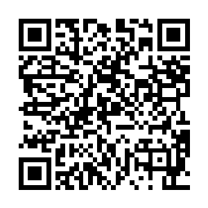可惜那些记者根本没时间去看两个缩在角落里的人是谁二维码生成
