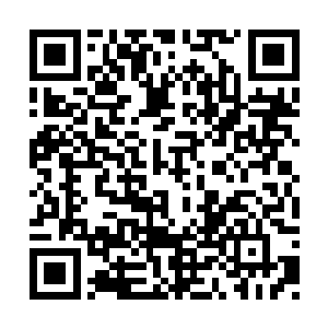 可惩罚副本失败了……通常的结果就是……死亡二维码生成