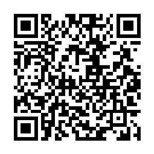 可想而知这人的身份必然是临驾在第三帝姬上面的二维码生成