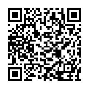 可我不能看着姐姐身陷险境啊……我是来帮你的二维码生成
