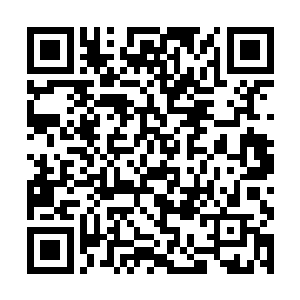 可我不能眼睁睁看着他这些年来的心血毁于一旦……二维码生成