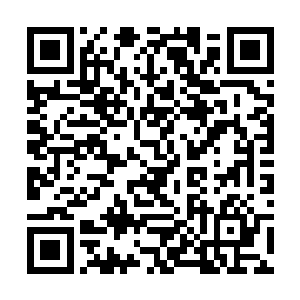 可我却分明从她的眼中看出了那种无法言喻的伤痛来二维码生成