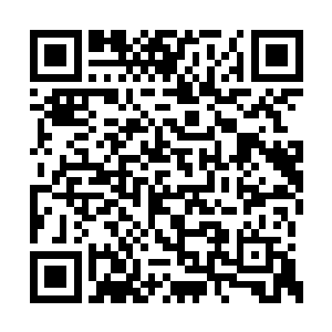 可我却看到有许多的洪荒恶兽闯入了这大阵之中二维码生成