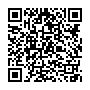 可我宁愿走蛇谷都不愿从这群彘……野猪中穿过二维码生成