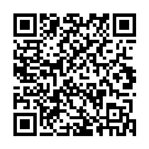 可我怎么想都想不起师父是用符纸将那个针囊包起来的了二维码生成