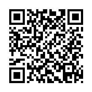 可或许是那数十棵圣诞树实在太让女人欢心了二维码生成