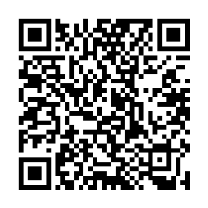 可打了才发现……根本就是两个手无缚鸡之力的娘炮二维码生成