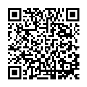 可抱着一株星华仙草拉扯的两人却愣是看不到眼前多出了一个人二维码生成