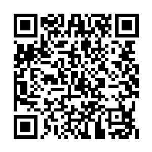 可挡住的脸侧过来分明就给巴克偷偷做了个鬼脸二维码生成