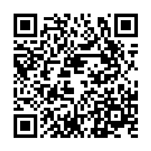 可损耗的依然是秦方的罡气和元气……此刻的秦方二维码生成