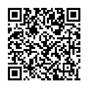 可提升他三十二倍的修炼速度和功法武技的威能二维码生成