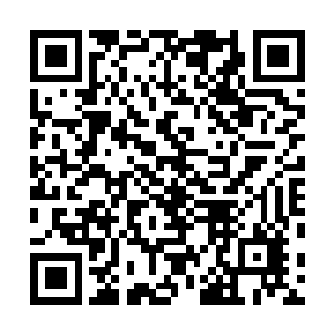 可放在这强者如云的南瞻部洲之中却根本什么都算不上啊二维码生成