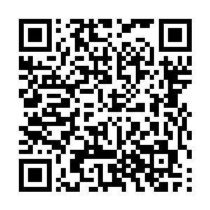 可方才那二十多人一起走出来的场景怎么看怎么诡异二维码生成