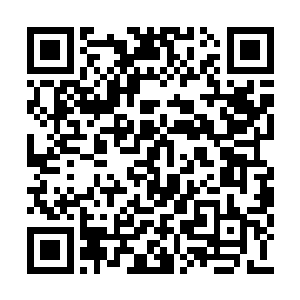 可无论是之后他们在黑风峡谷遇到的天英星路尼二维码生成