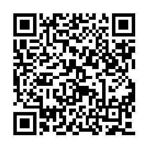 可既然对方可以把这个世界上所有修者都驱逐了二维码生成