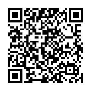 可昨晚面对那二十多头凶猛的青狼不仅没有丝毫害怕的样子二维码生成