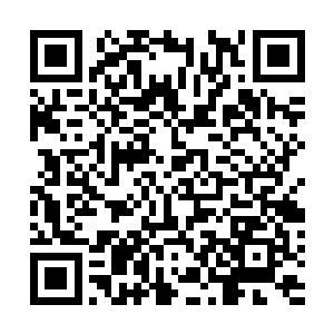 可是……他的肉身却根本不能承受路引周围散发出的灵气二维码生成
