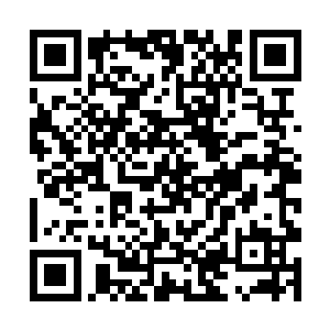 可是……他身上那恐怖的杀气令它们不敢越雷池半步二维码生成