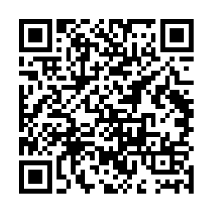 可是……可是尘尘是自己女儿的这个秘密恐怕都不知道二维码生成