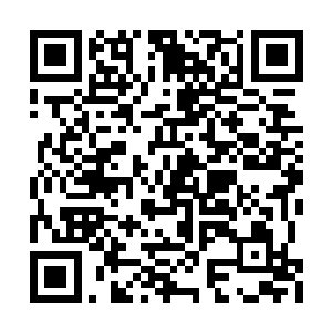 可是……可是我怎么都没想到我会晕倒在泳池里二维码生成