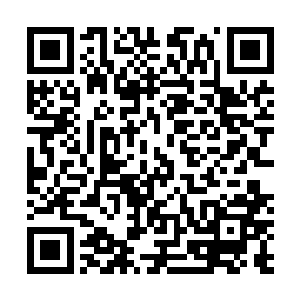 可是……可是那根令人恐怖的软鞭却始终没有被再次扬起二维码生成