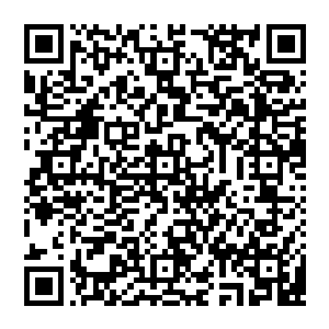 可是……同胞弟弟被杀的仇恨让他根本无法忍受眼睁睁地看着自己的仇人就这么嚣张地一路在杀戮中扬长而去二维码生成