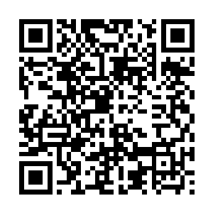 可是……苏小爱就一定没有君无妄这么聪明谨慎了二维码生成