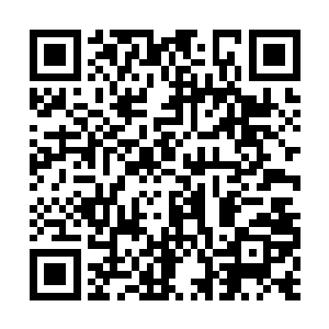 可是……觉醒者难道不该是团结起来对抗玩家的吗二维码生成