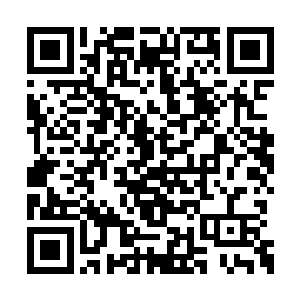 可是……让他面对一位主宰……想象都觉得胆颤二维码生成