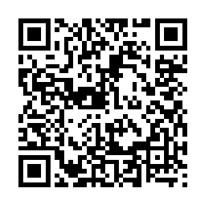 可是……许紫烟也不是用她自己的力量击杀的星霸二维码生成