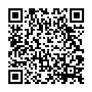 可是……这种功法每出来一个都会在洛水城引起腥风血雨二维码生成