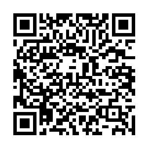 可是一出来就看到灭离大帝带着云起舞来到圣帝宫二维码生成