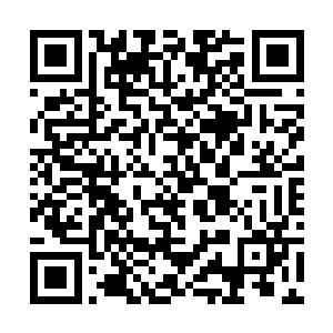 可是一想到苏阮阮在生死关头那一刻毅然绝然的身影二维码生成