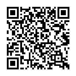 可是一种强大的社会惯性却强迫着他们弯下身躯二维码生成