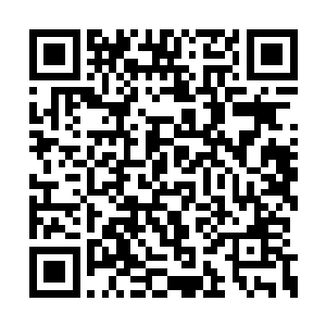 可是一般金仙的战力甚至还比不上天才天仙妖孽二维码生成