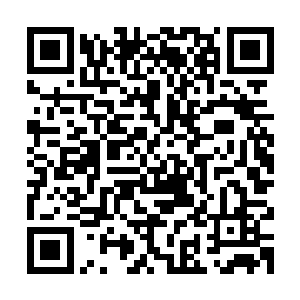 可是不知道是不是江少游那几根金针扎到了这家伙喉咙部位的麻二维码生成