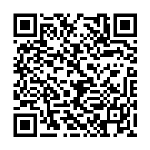 可是世龙仙人唯一的弱点只在那位陨落的仙子身上二维码生成