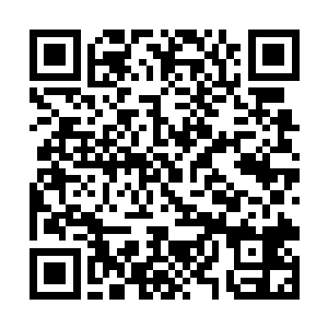 可是东子却一点儿也不敢对他的这句话有任何的质疑二维码生成