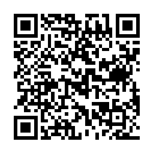 可是临海市上层大员们专门为接待从燕京里来的大人物二维码生成