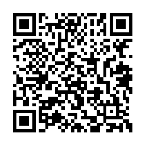 可是为什么眼前的哥哥似乎失去了所有的生命力二维码生成