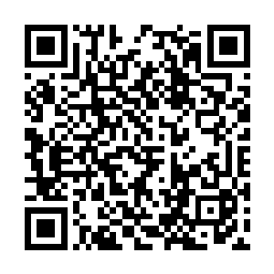 可是之前那神兽的挣扎大大削弱了百里雷域的能量二维码生成