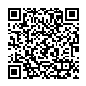可是也能看出来雷电紫灵藤一头钻进了梁长老的丹田二维码生成