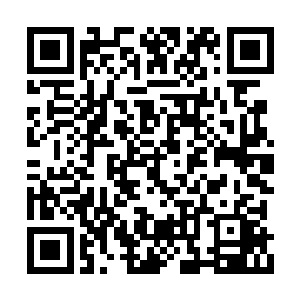 可是事实上秦嫣然却是根本就不知道短信这回事二维码生成