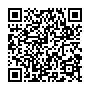 可是五六名侍卫五六把剑居然敌不过紫晴一手一把匕首二维码生成