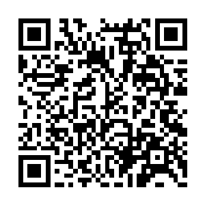 可是五炼巅峰的绝世强者――寒冰圣尊所留下的二维码生成