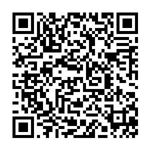 可是亲眼看到苏落在短短时间内阅读并且掌握了整个藏书阁的书籍的二维码生成