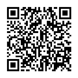 可是人家就能写出这么有文采和思想深度的作文二维码生成