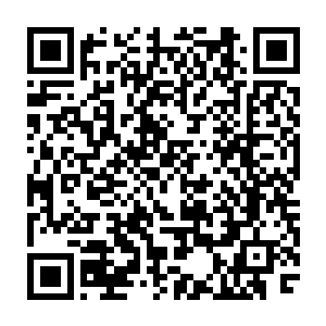可是人家毕竟是数量多而且战斗经验丰富所以将这些年轻人打的节节后退二维码生成